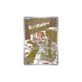 Swinub Art Rare 165 - Avventure Insieme